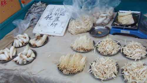 Beijing Hutong mushrooms