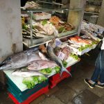 Rialto Market Fish