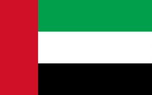 uae flag