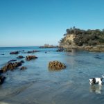 Balings Beach, NSW