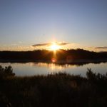 Tomaga River, NSW